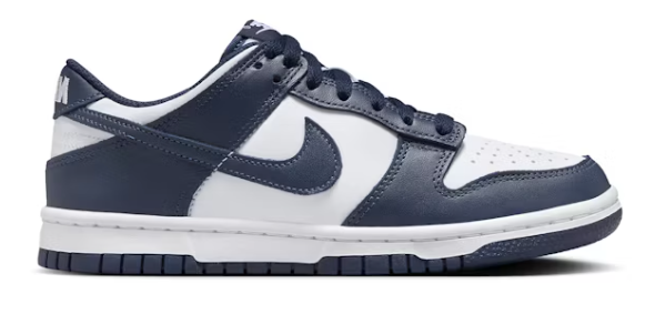 Grade School Nike Air Dunk Low