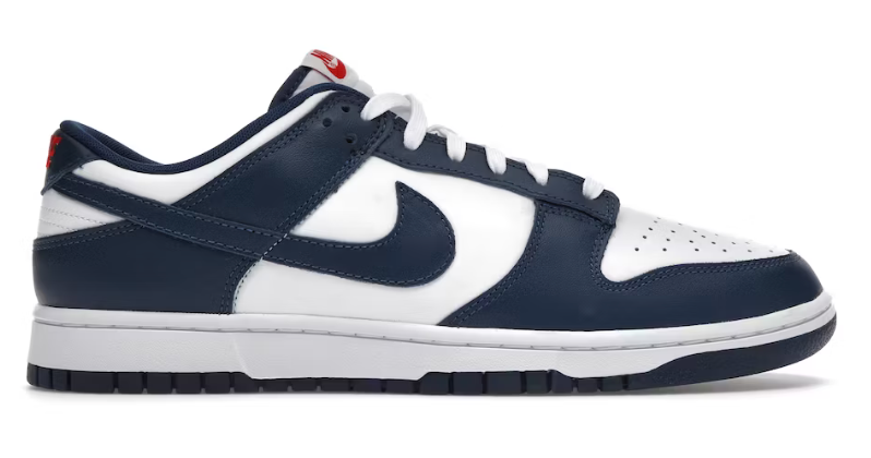 Men's Nike Air Dunk Low Retro