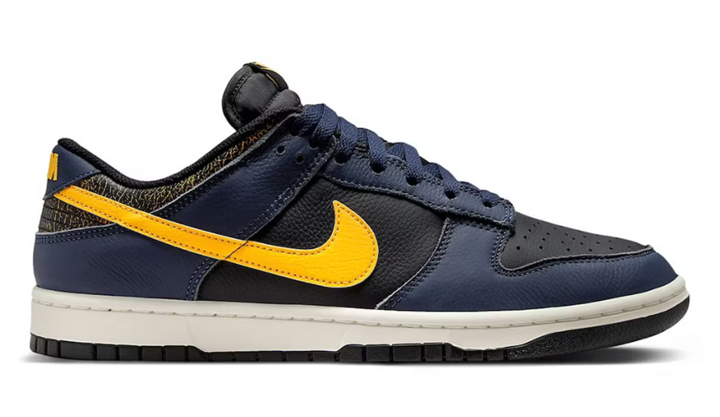 Nike Air Dunk Low Retro