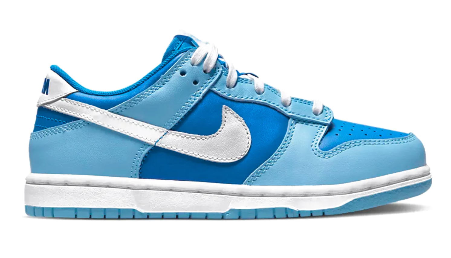 Nike Air Dunk Low QS (PS)