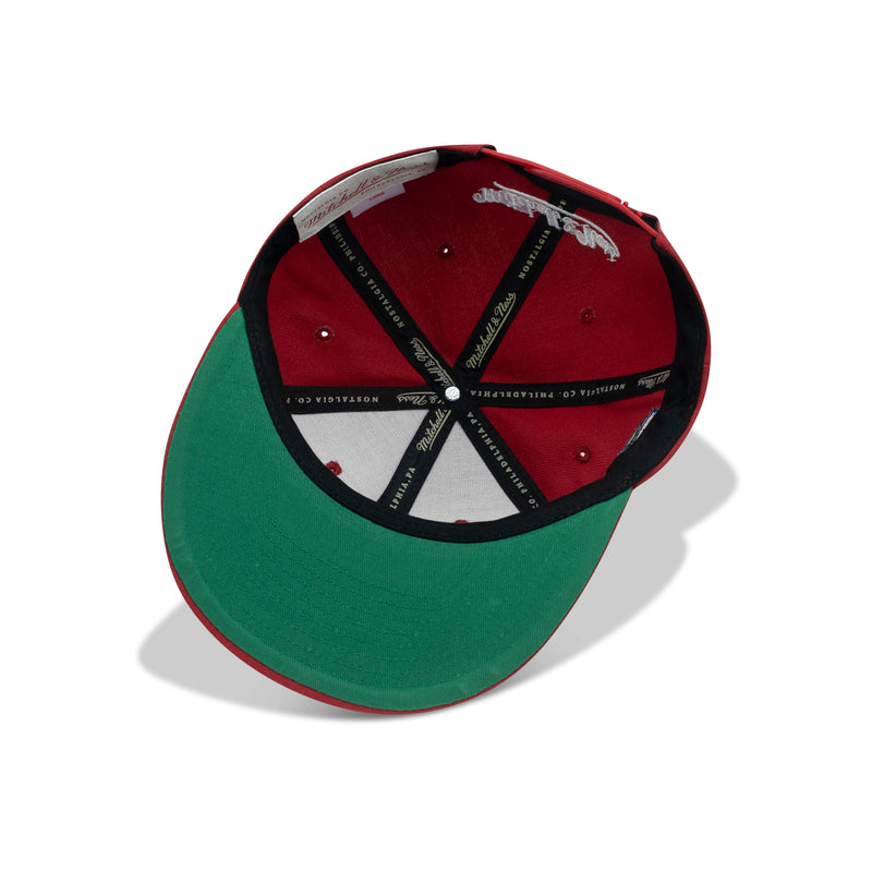 Mitchell & Ness Chicago Bulls Snapback Green Bottom 