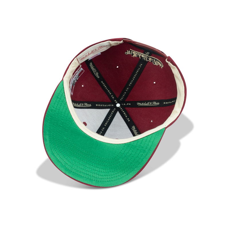 Mitchell & Ness NBA Detroit Pistons The Jockey Green Bottom Snapback 