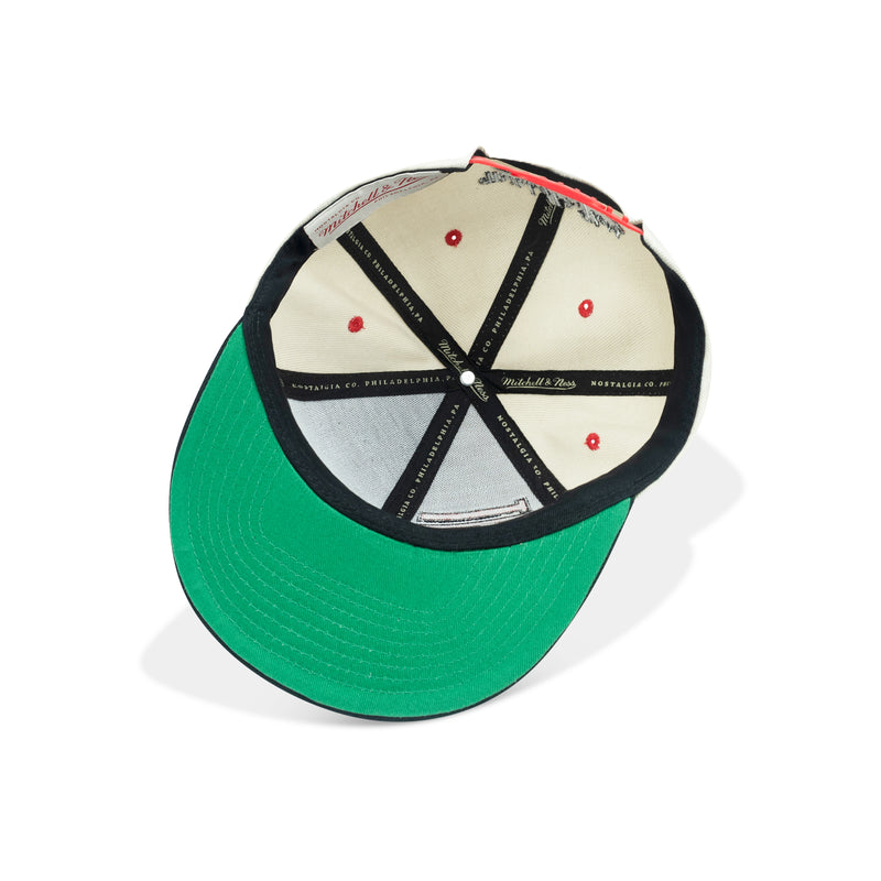 Mitchell & Ness NHL Detroit Red Wings Pop Panel Snapback Green Bottom 
