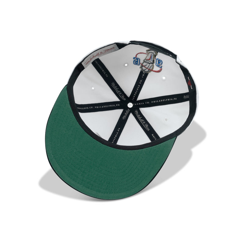 Mitchell & Ness NBA 96 Bulls Champions Wave 2T Snapback 