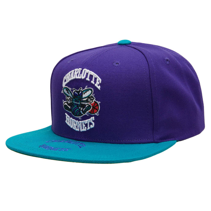 Mitchell & Ness NBA Charlotte Hornets Logo Bill Snapback Green Bottom "Purple Teal"